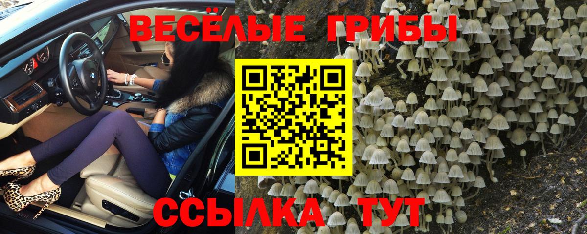 Галлюциногенные грибы Magic Shrooms Снежинск