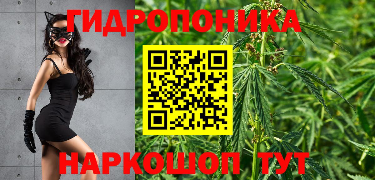 Шишки марихуана Bruce Banner Снежинск